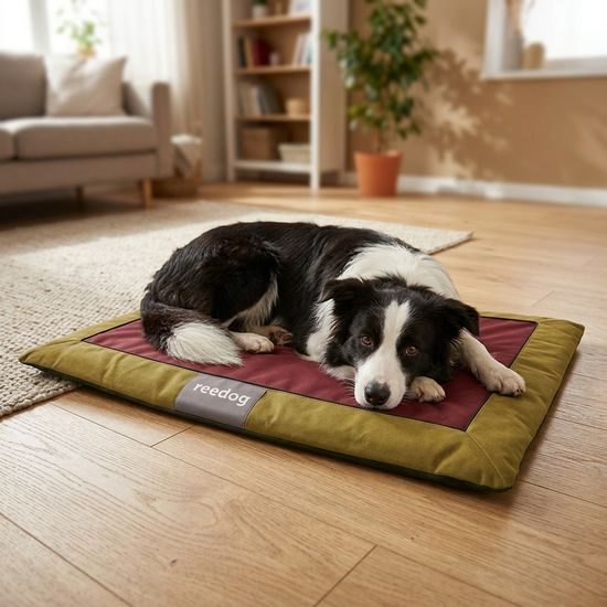 Reedog Podložka Mat Red