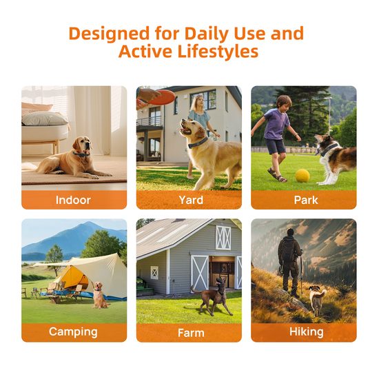 BAZAR - Patpet T800 Pro