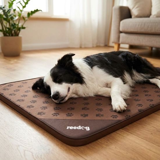 Reedog Podložka Thin Brown Paw