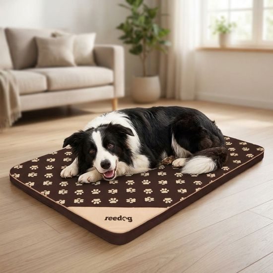Reedog Podložka Thin Brown Paw