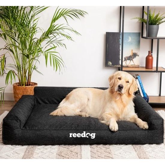 Reedog Glamour Ekolen Fekete Kutyafekhely