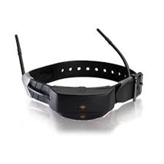 GPS a výcvik psa v jednom SportDog TEK 1.0 Tracking & Training