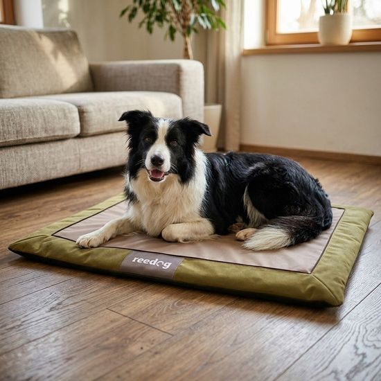 Reedog Podložka Mat Light Brown