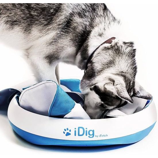 iFetch iDig Stay Digging Toy