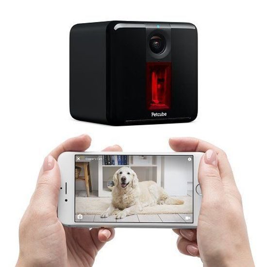PetCube Play smart kamera pre psy a mačky