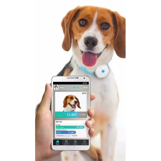 Dogtra Smart monitor pohybu