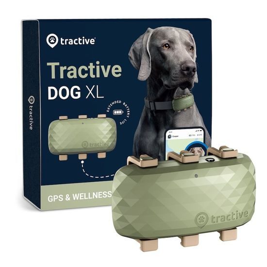 Tractive GPS DOG XL, zielony