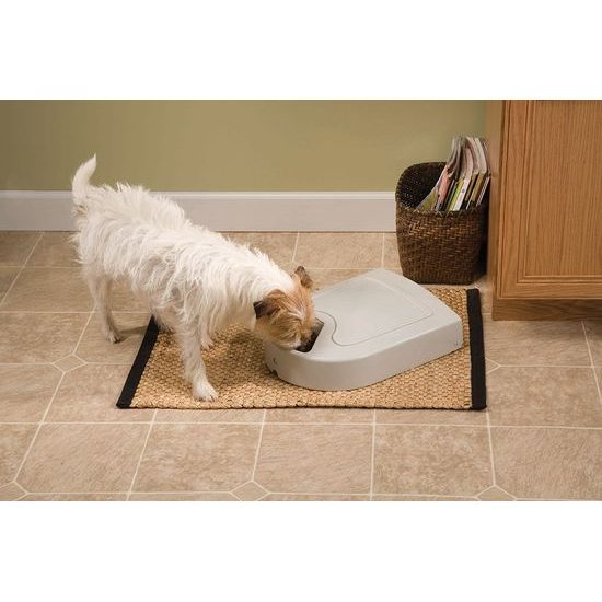 Digital dispenser of 5 dishes EatWell