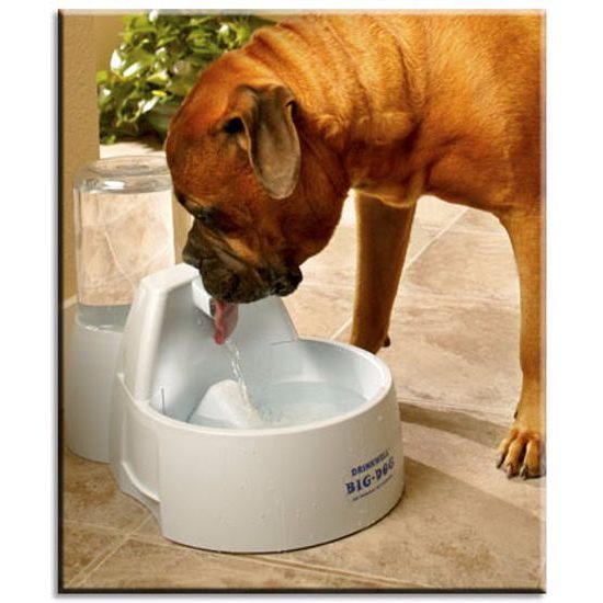 Wasserfontäne Drinkwell Big Dog