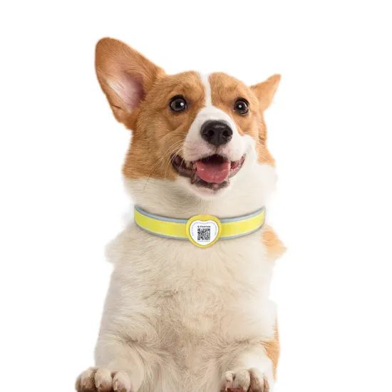 PawView Smart TAG men's bow tie for dogs
