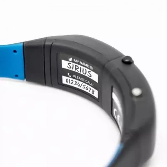 Tractive GPS nyomkövető nyakörv macskáknak