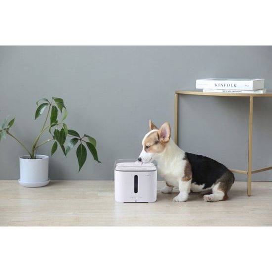 Petkit Eversweet 2 Wasserspender