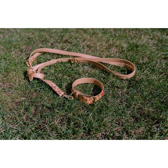 Reedog Gassi-Set Häufchen aus Biothane: HALSBAND + LEINE