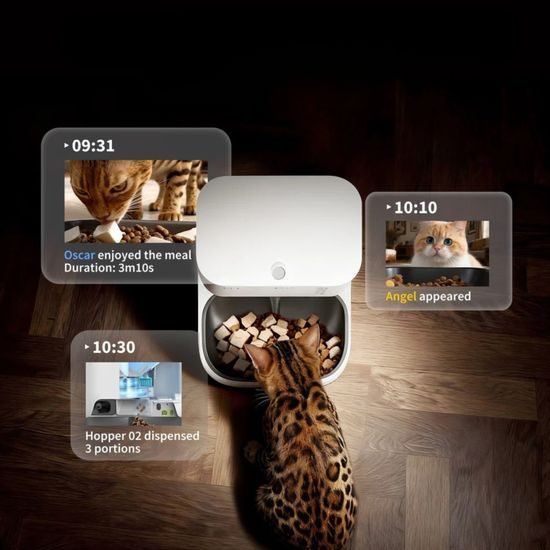 Petkit YumShare Dual-Hopper 2