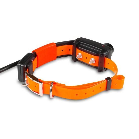 Shorter collar for another dog - DOG GPS X25TB Short