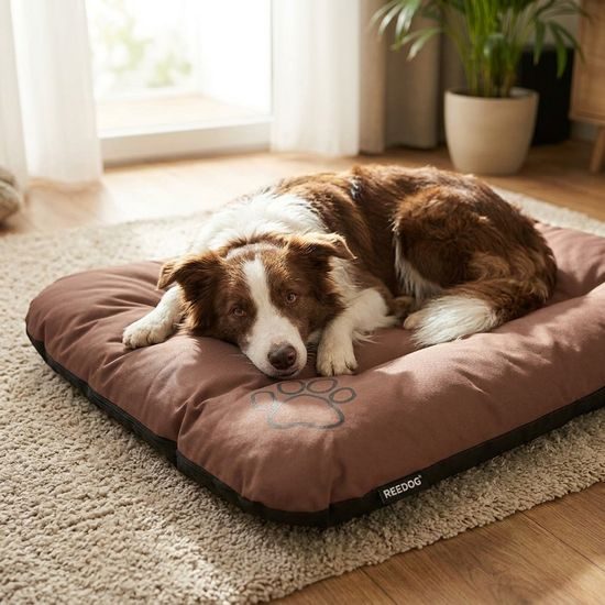 Reedog Matrace Eco Light Brown