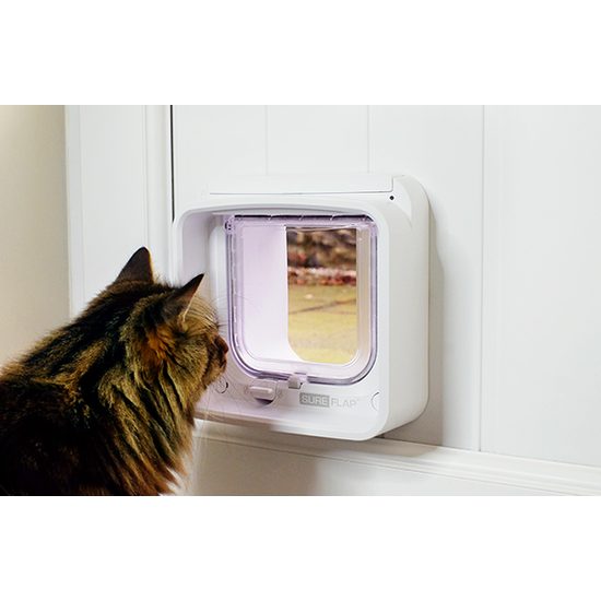 USED - Door for cat Sureflap Microchip Cat Door Connect