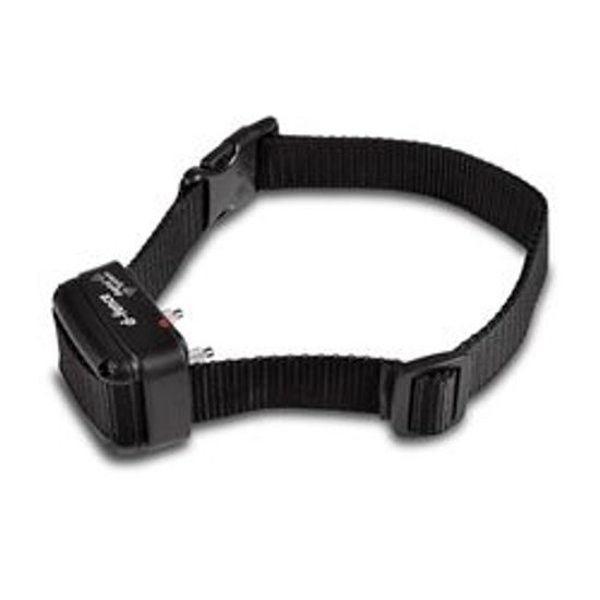 USED - Dogtrace d‑fence 101