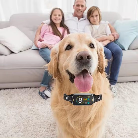 Reedog No Bark Smart Ultrasonic TC-012