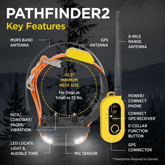 Dogtra Pathfinder 2 - GPS and training collar
