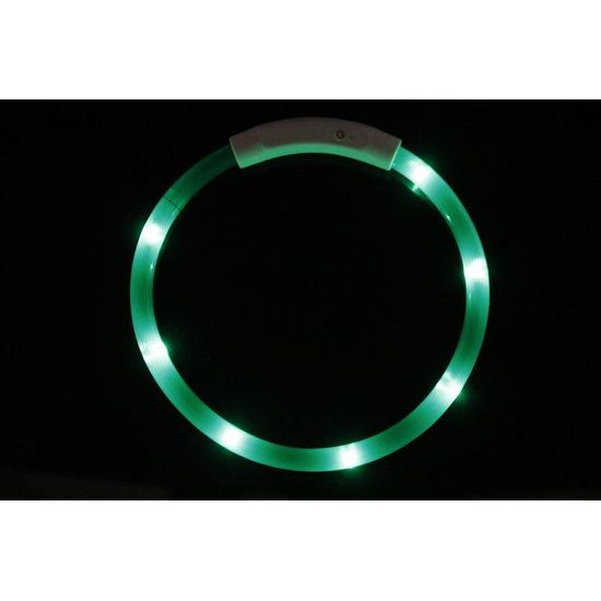 Reedog Easy Light USB rechargeable glowing collar for dogs and cats