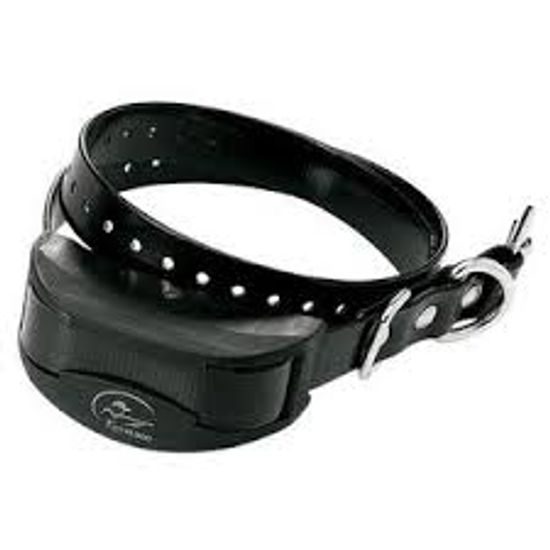 Sportdog top 825 collar