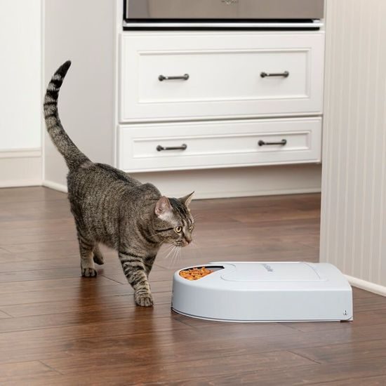 PetSafe®, 5-Meal Pet Feeder