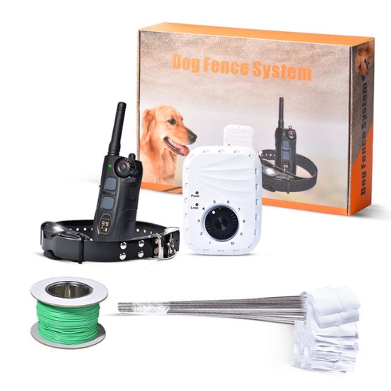 BASAR - Reedog DF-213 Zaun- und Trainingshalsband für 1 Hund