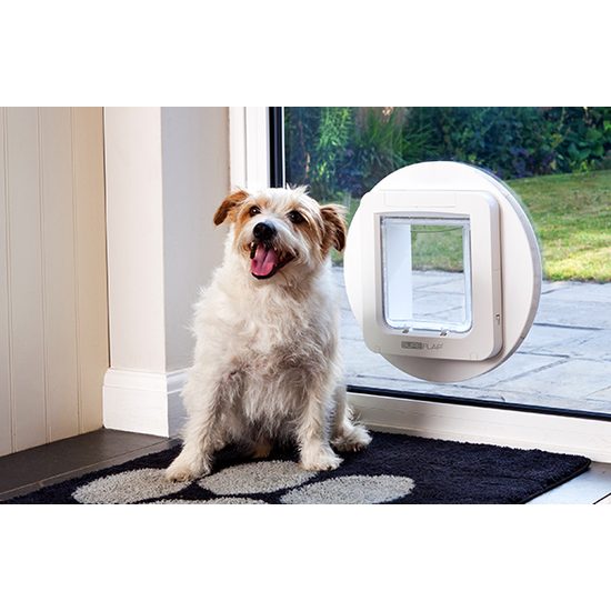 SureFlap Hundeklappe mit Mikrochip