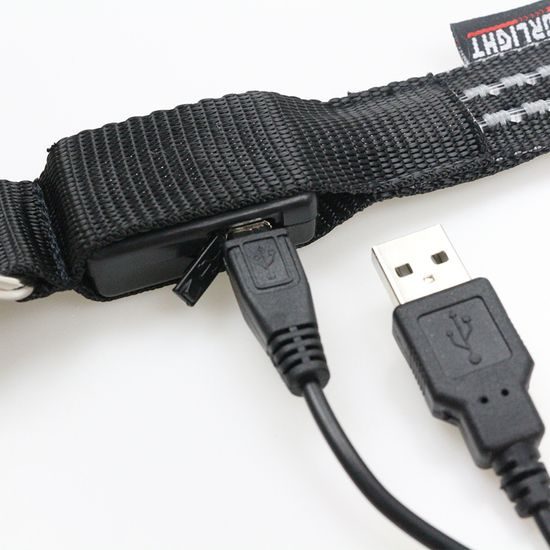 Reedog luminous USB świecąca obroża dla małych, śrdnich i dużych psów