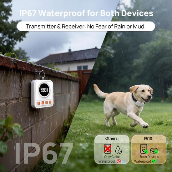 Pethey F610