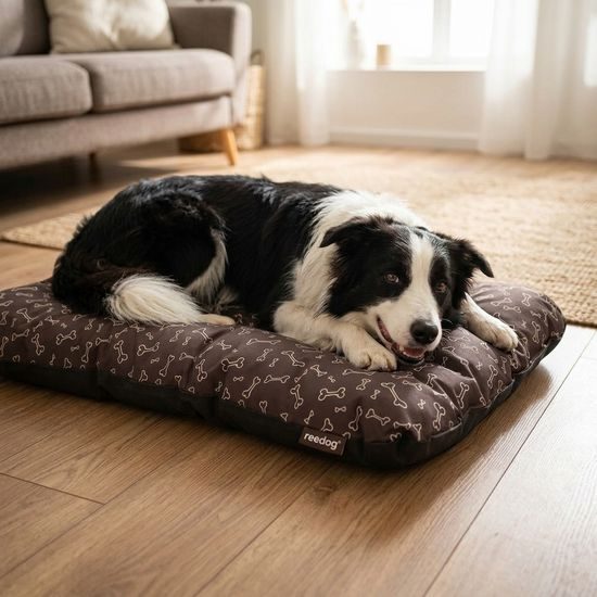 Reedog Matrace Eco Extra Brown Bones