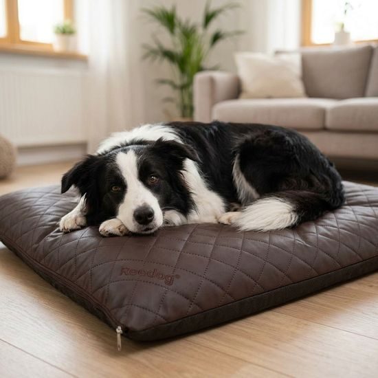 Reedog Matrace Elis Brown