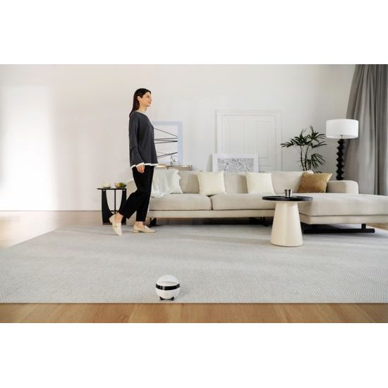 Enabot ROLA Mini Move