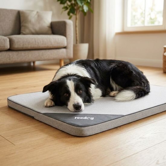 Reedog Matrace Thin Ekolen Ash