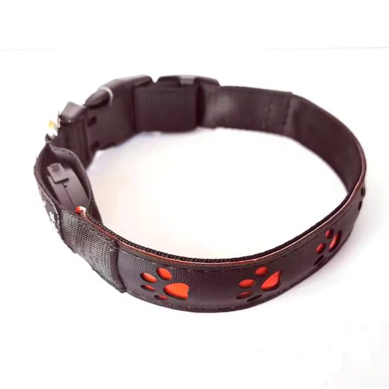 Collar luminoso recargable Reedog PATITAS