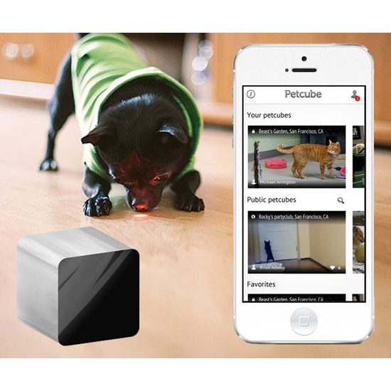 Petcube interactive outlet