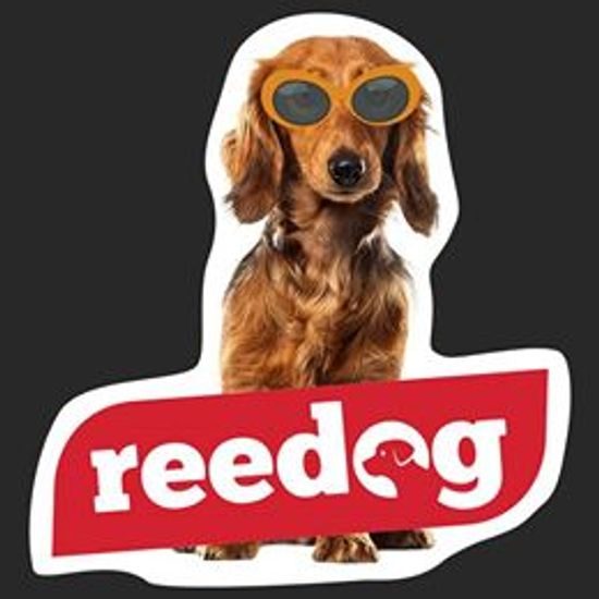Reedog Air Fresh Zawieszka zapachowa/ Arbuz