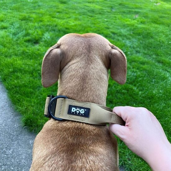 Dogtrace K9 taktický obojok pre psov s rukoväťou, khaki