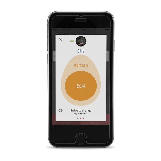 Obojek Garmin Delta Smart 4 v 1