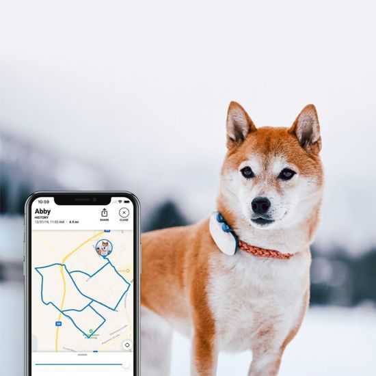 USED - Tractive GPS DOG 4 – GPS Tracker for Dogs