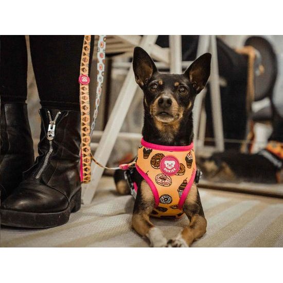Reversible Dog Harness CUPCAKES