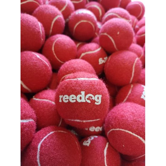 Reedog Tennisball für Hunde - M