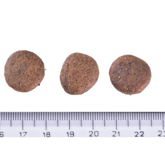 Brit Care Dog Grain-free Senior & Light Salmon 3 kg