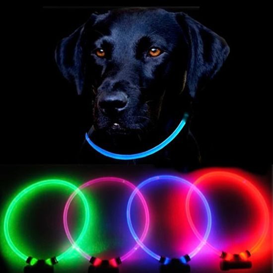 Collar luminoso Reedog Full Light USB recargable para perros y gatos