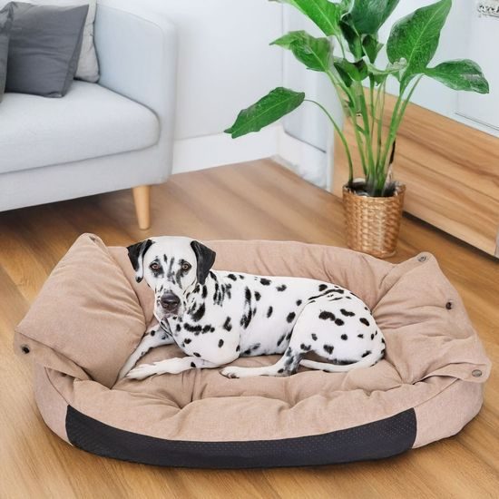 Reedog Twice Bed Beige