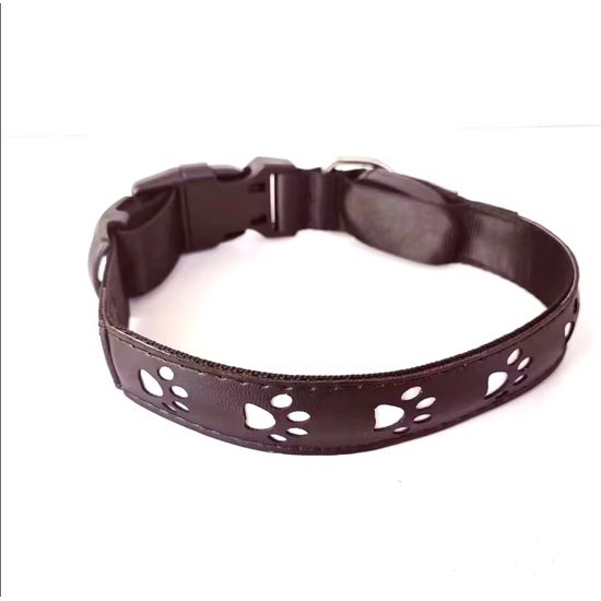 Collar luminoso recargable Reedog PATITAS