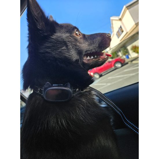 GoodLife Woofly Bark Control