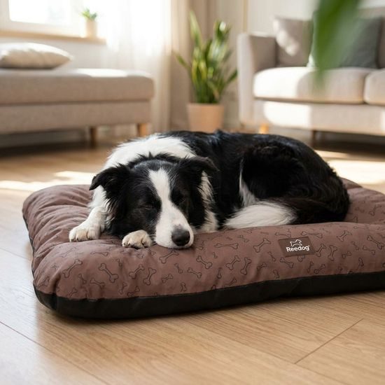 Reedog Matrace Eco dark bones