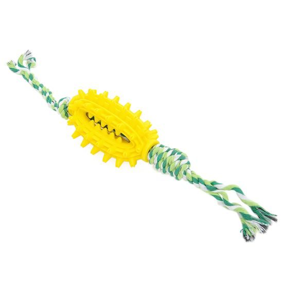 Reedog tug of war with dental toy